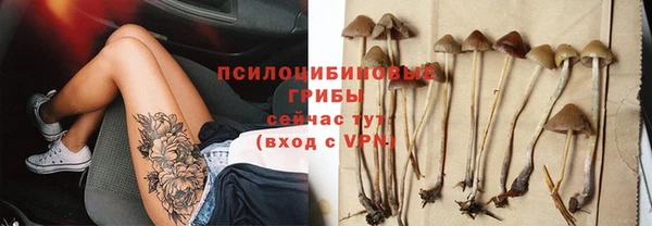 герыч Алексин