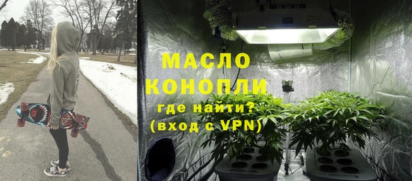 спиды Ельня